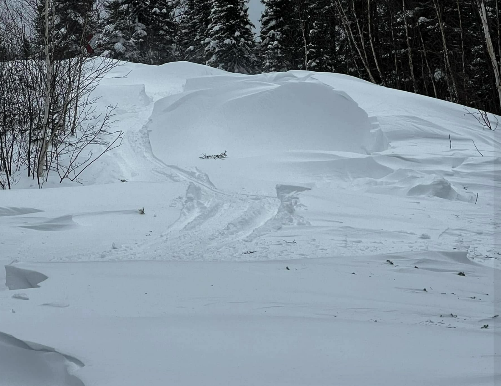 Trail 93 to Chibougamau