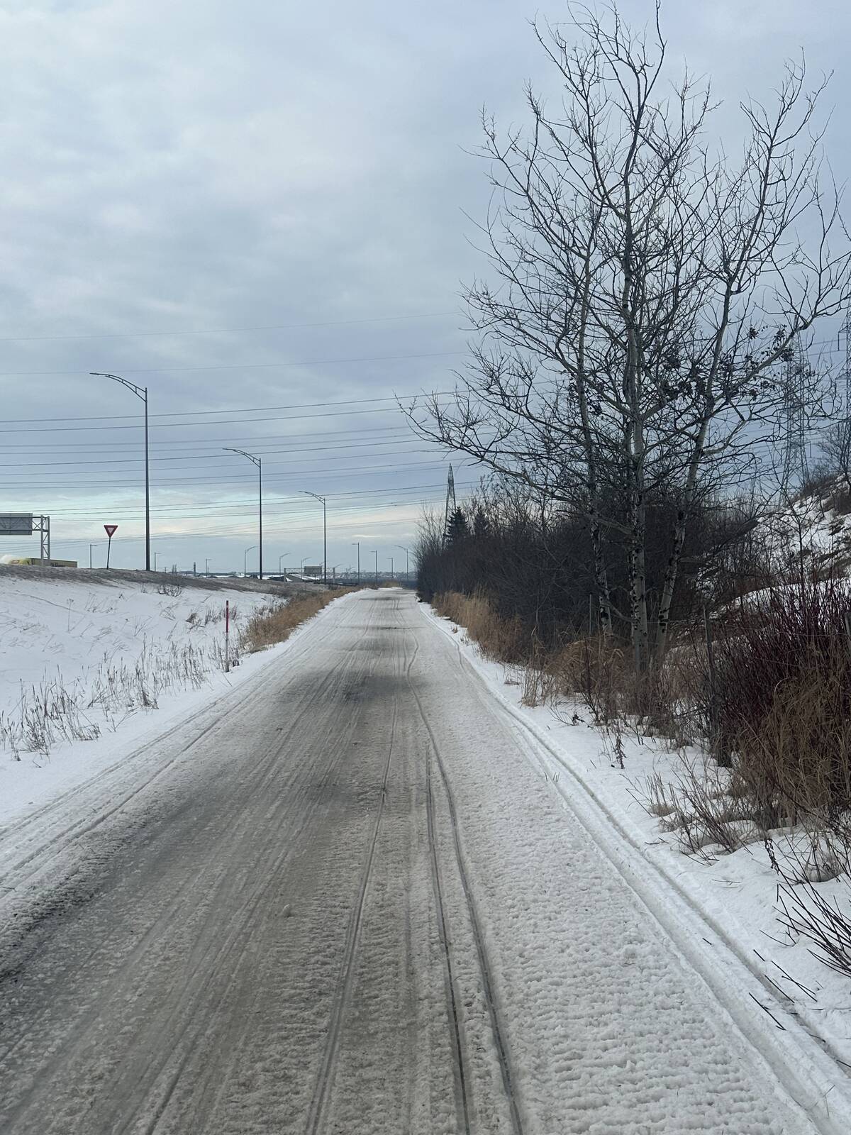 Sunday Late Afternoon Report Jan. 11th