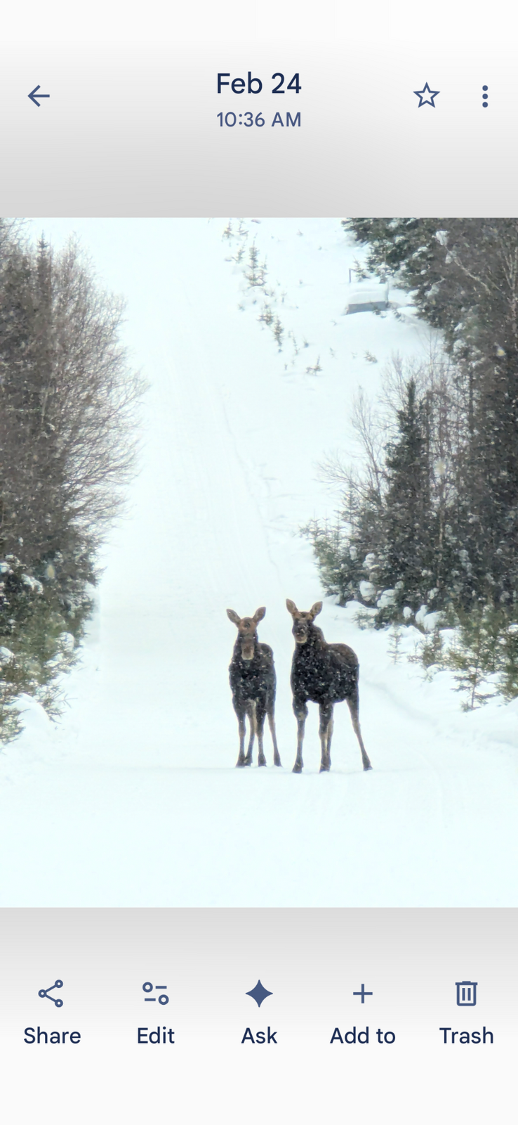 Current conditions PLC to Matane to RDL