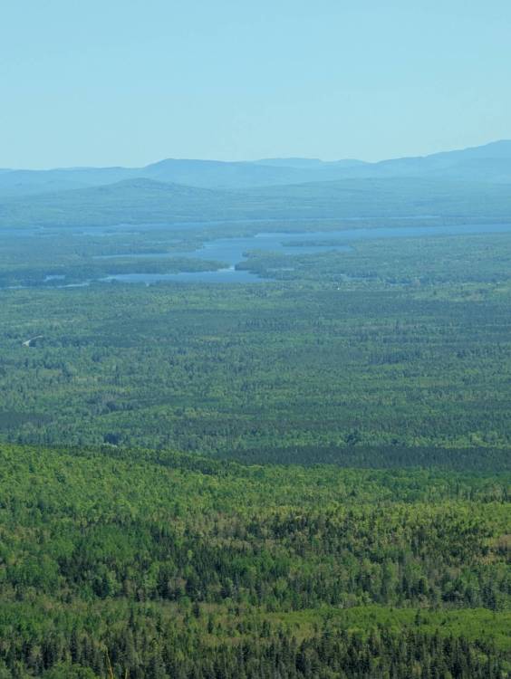 PXL_20260603_145944314.jpg